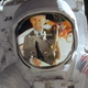 Image for article titled The Only Car Endorsed By A Moonwalker Was Not What You'd Expect